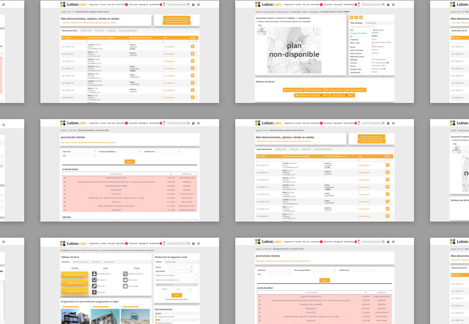 Interfaces multiples de Leizee